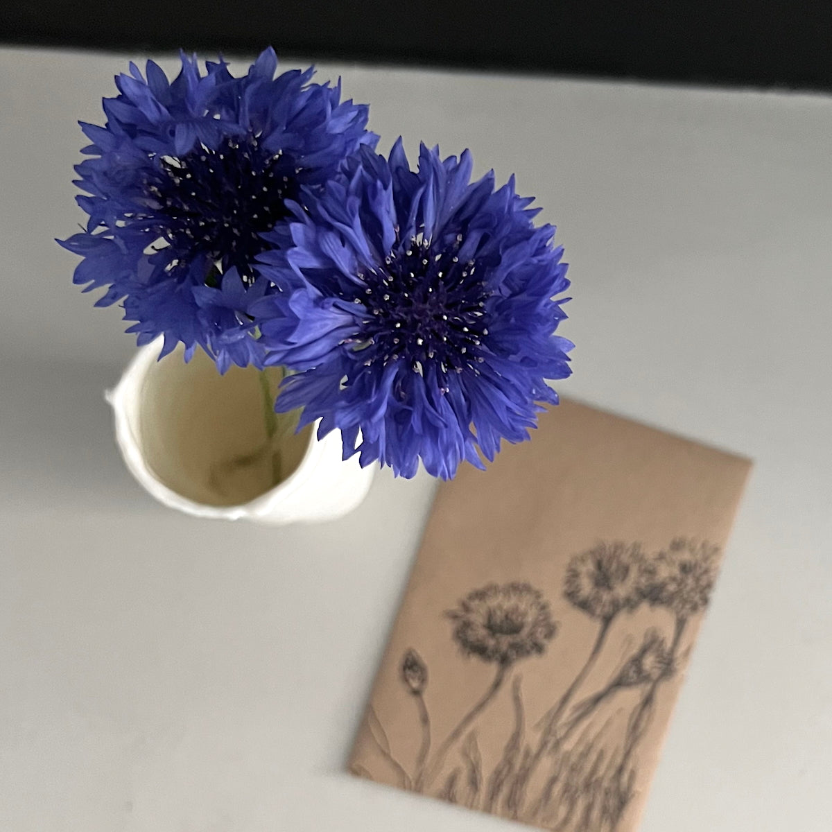 Samentütchen - Kornblumen