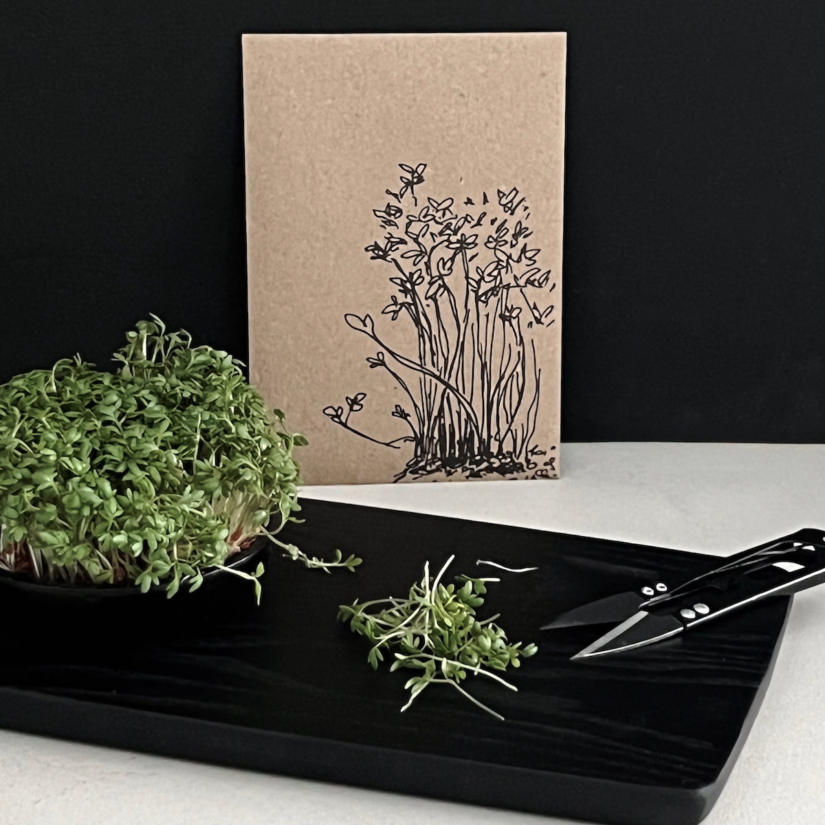 Samentütchen - Gartenkresse