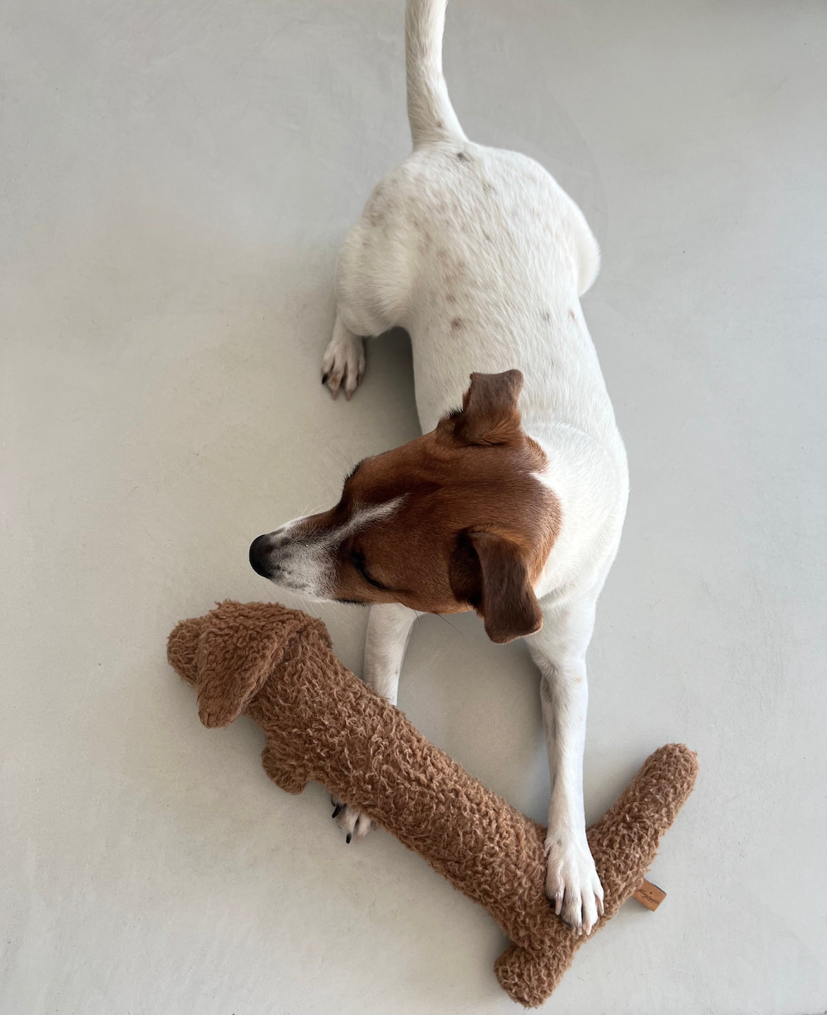 Hundspielzeug - Lotti