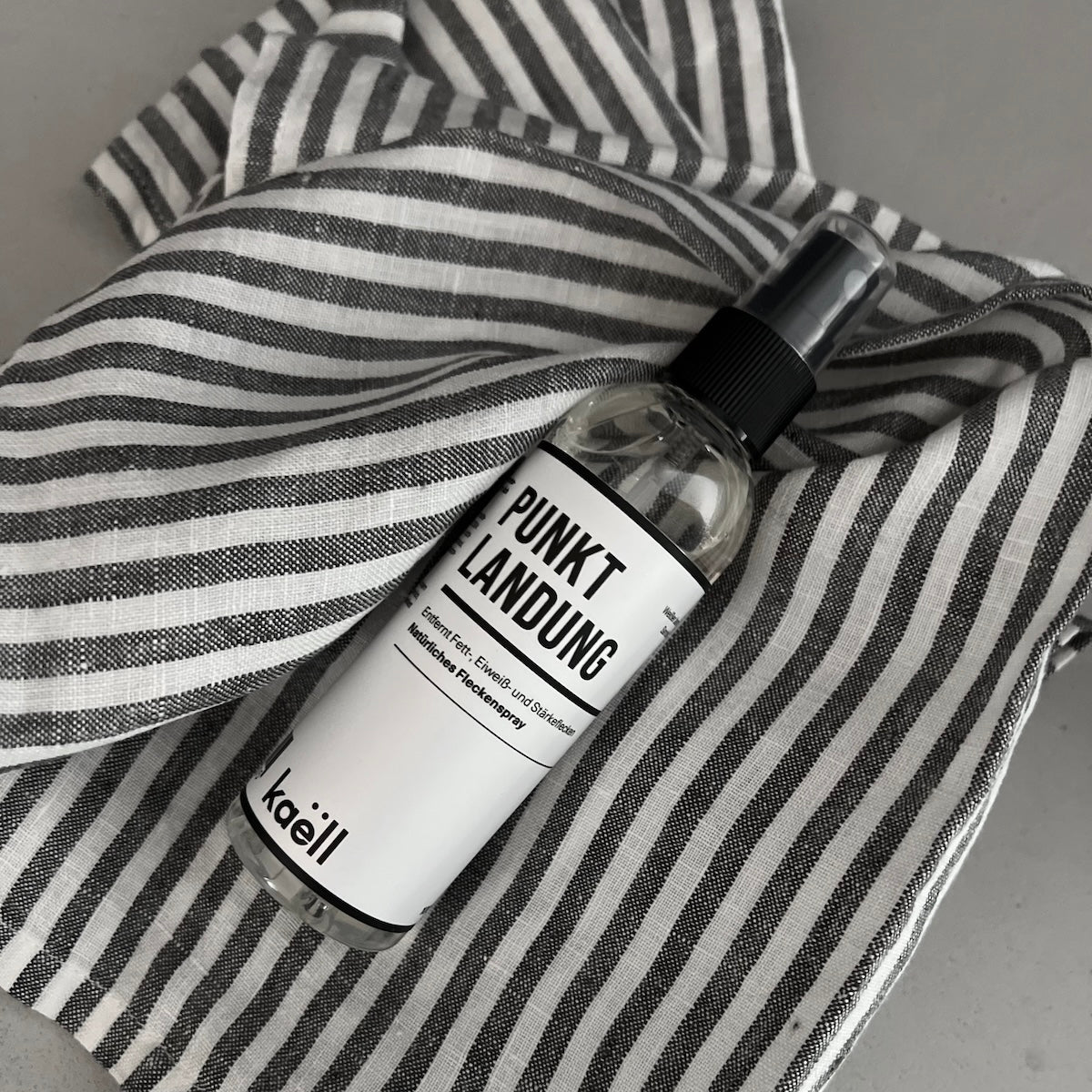 Punktlandung - Natürliches Fleckenspray