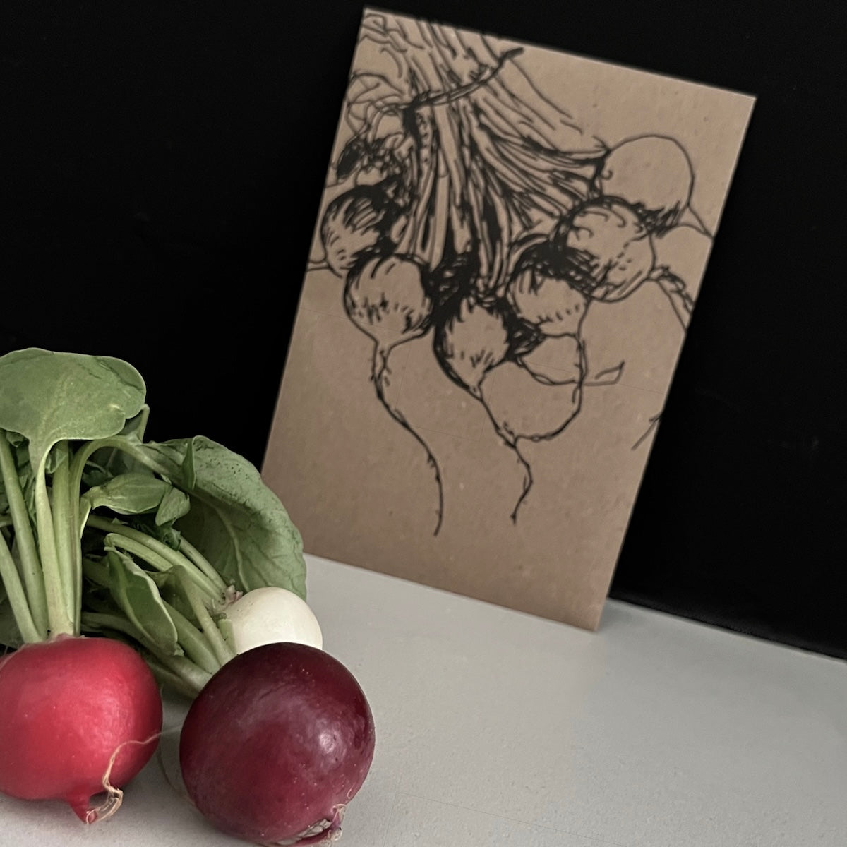 Samentütchen - Radieschen