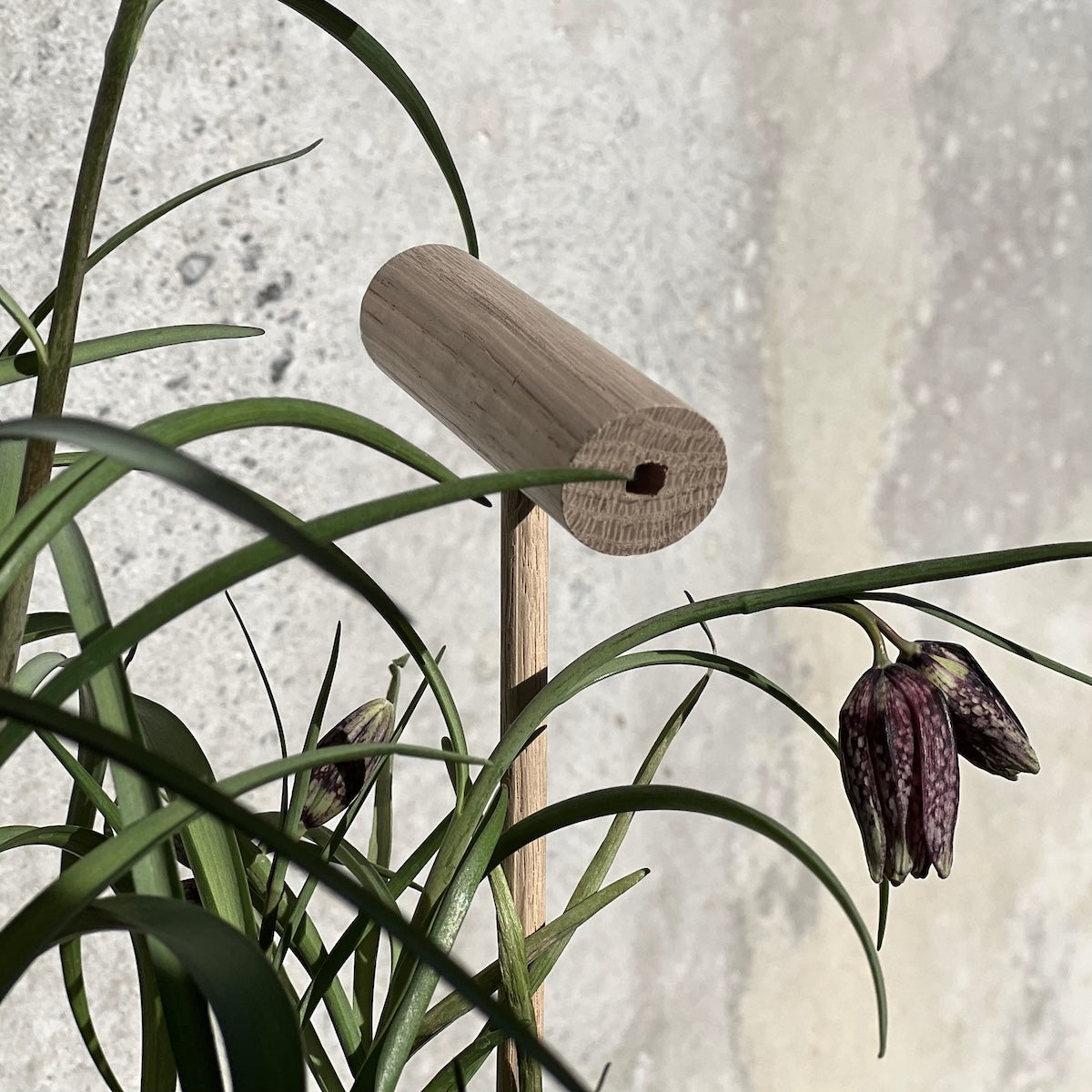 Bee Hotel