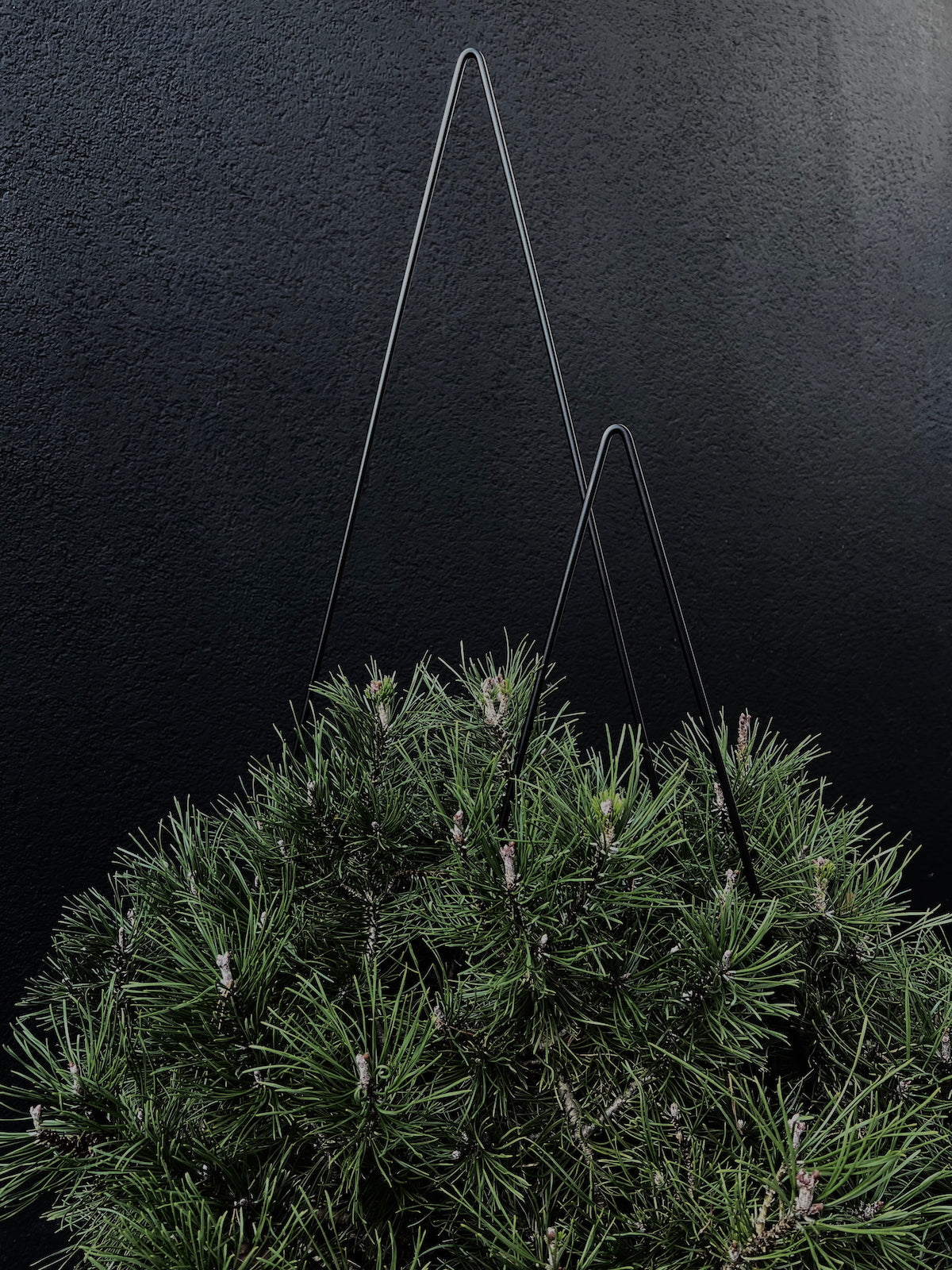 Garten Stecker - Bäumchen in zwei Größen