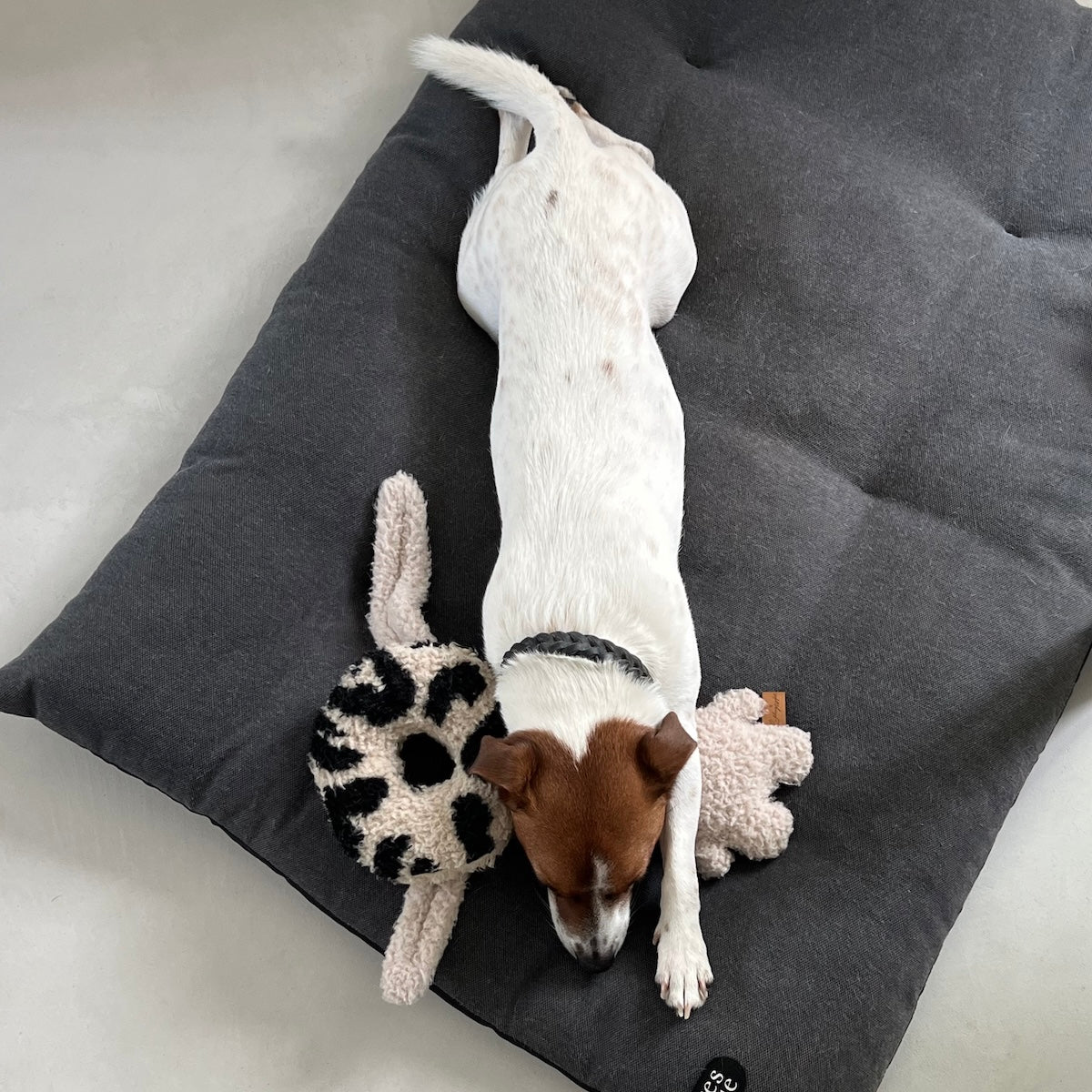 Hundspielzeug - Donut