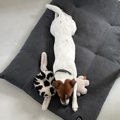 Hundspielzeug - Donut