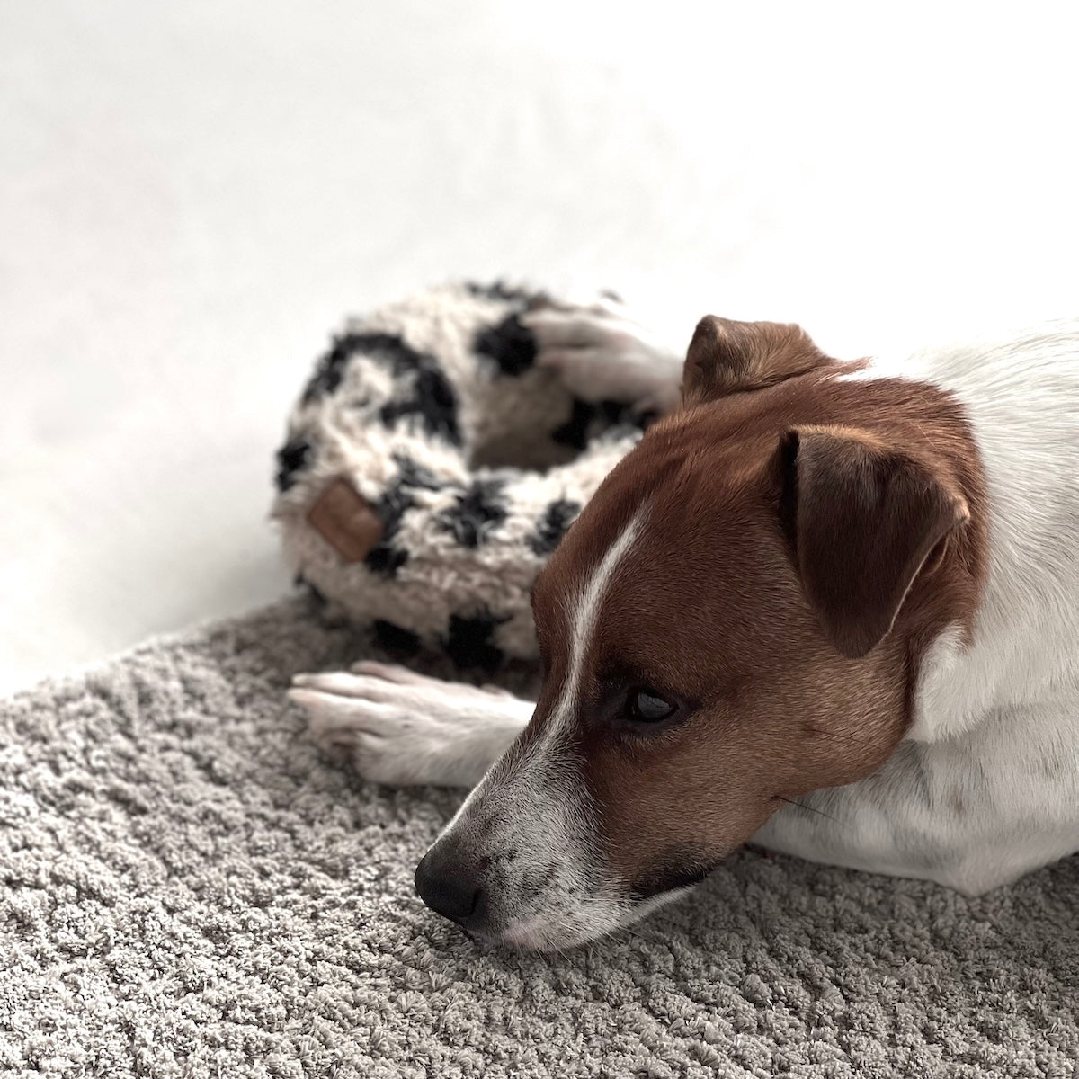 Hundspielzeug - Donut