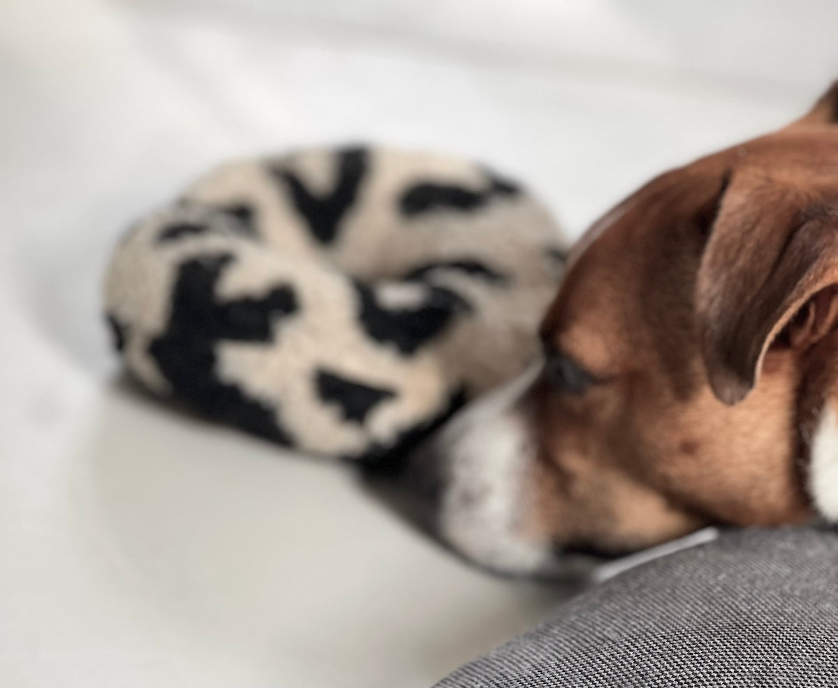 Hundspielzeug - Donut