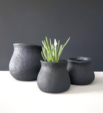 Pot - Medium