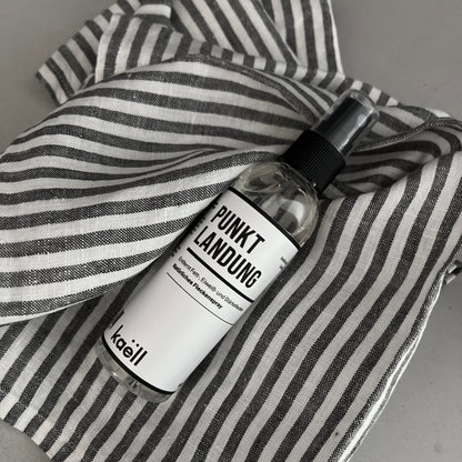 Punktlandung - Natürliches Fleckenspray