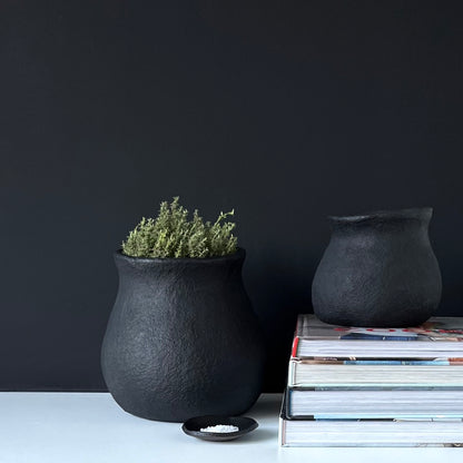 Pot - Medium