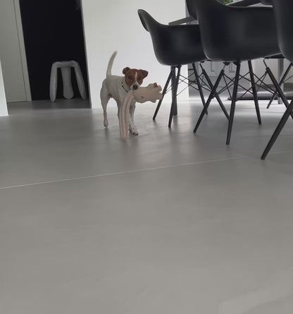 Hundspielzeug - Rübe