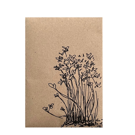 Samentütchen - Gartenkresse