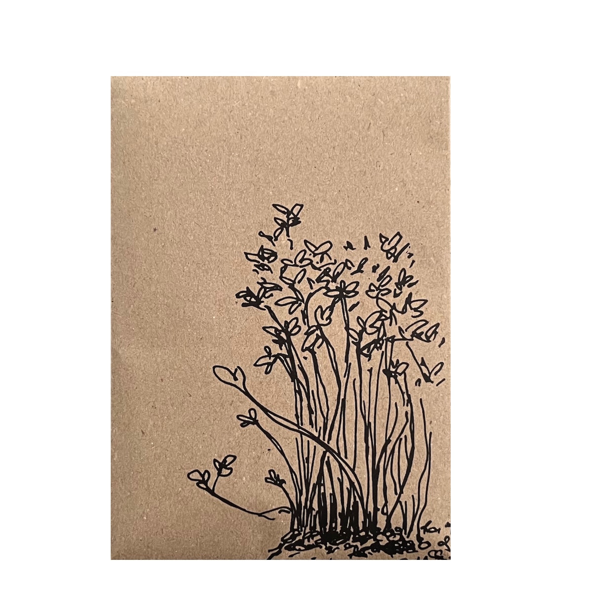 Gartenkresse Samen Tütchen