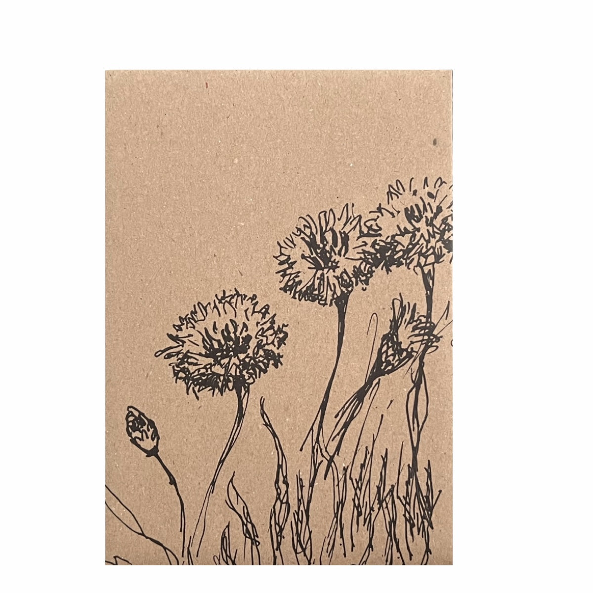 Samentütchen - Kornblumen